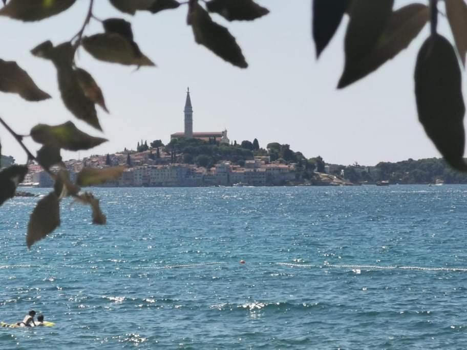 Studio Apartment Rosemary Rovinj Ngoại thất bức ảnh