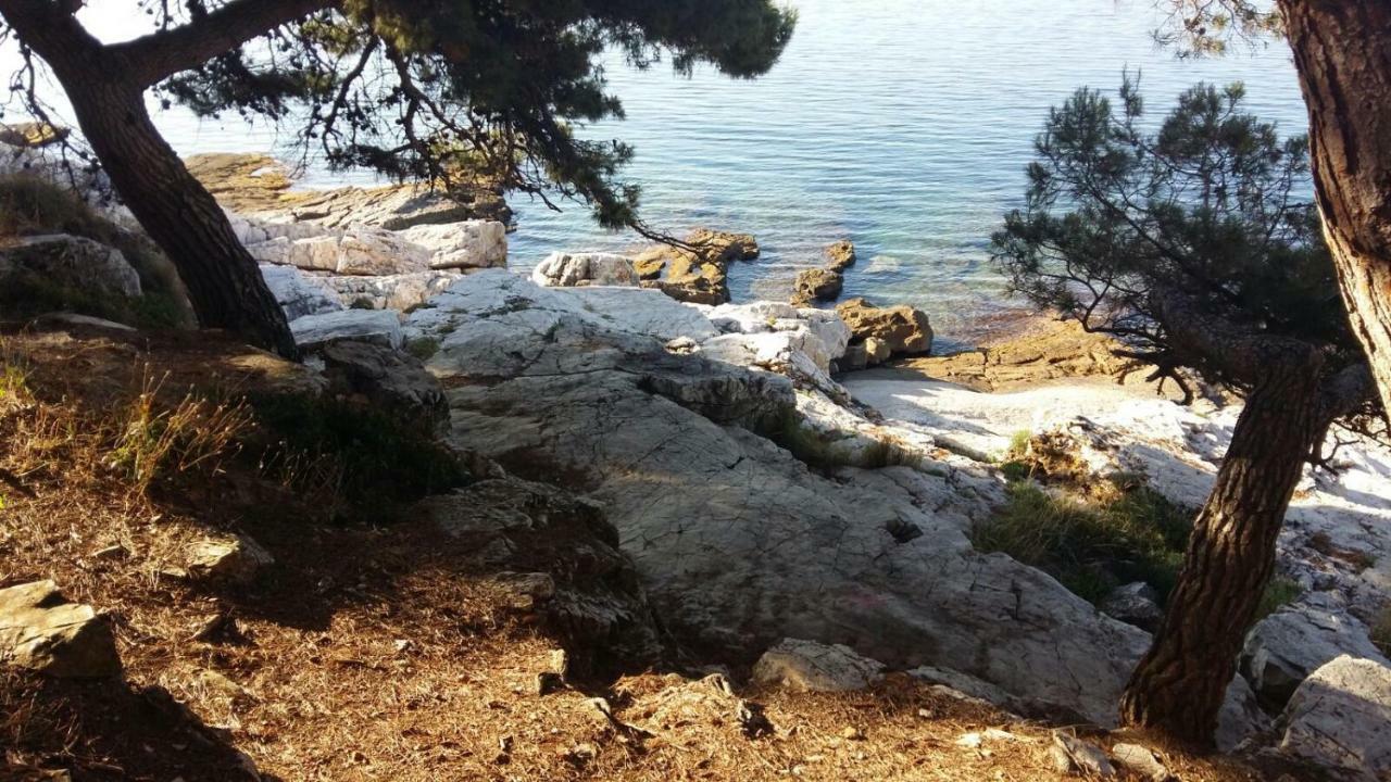 Studio Apartment Rosemary Rovinj Ngoại thất bức ảnh