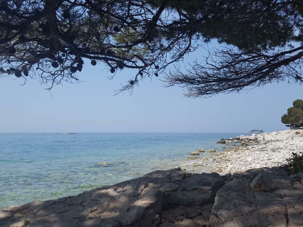 Studio Apartment Rosemary Rovinj Ngoại thất bức ảnh